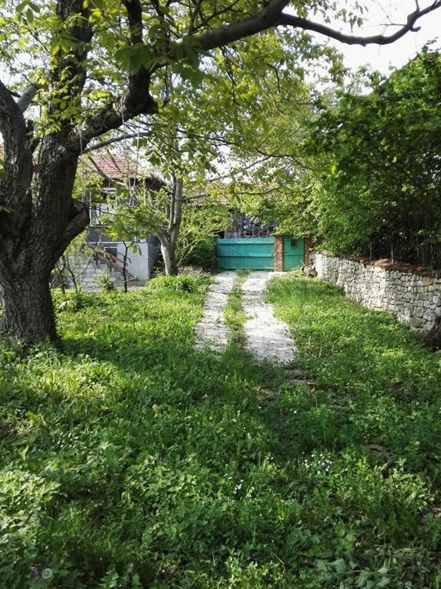 Villa Beefree à Gorsko Slivovo Extérieur photo