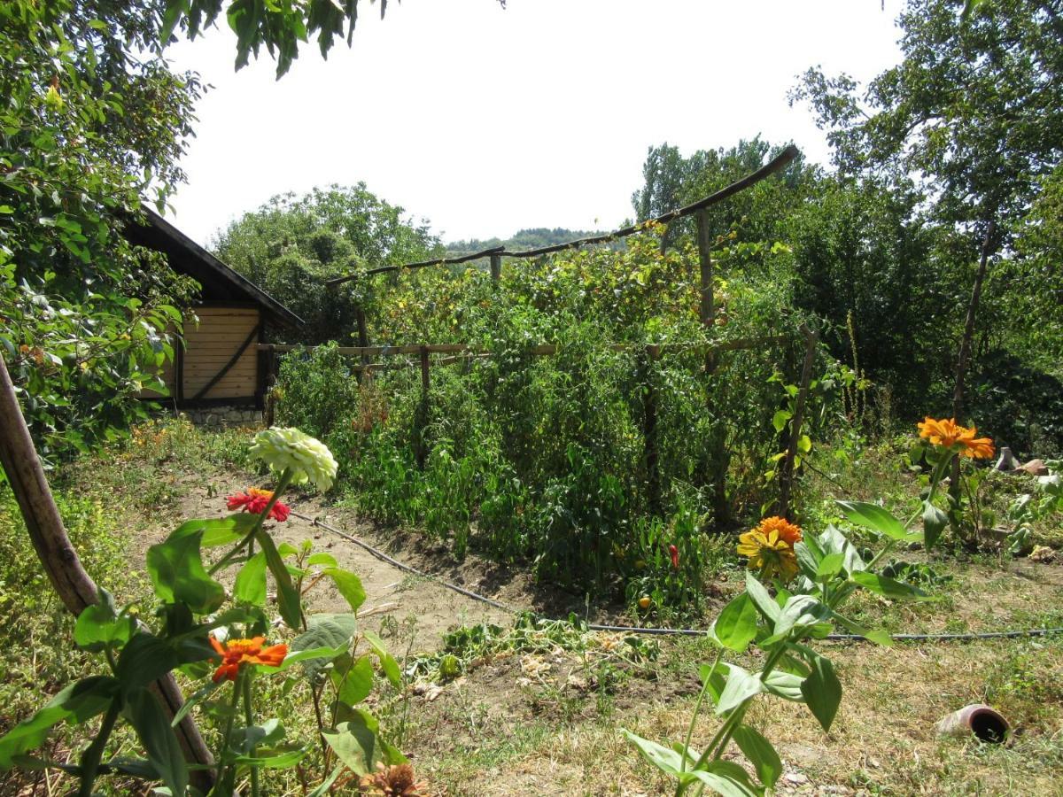 Villa Beefree à Gorsko Slivovo Extérieur photo